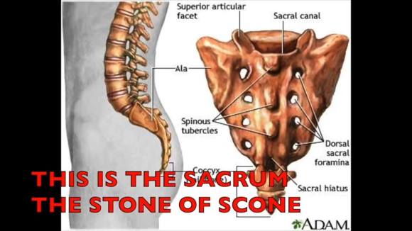 47688788_594317501001616_6237918365071966208_n