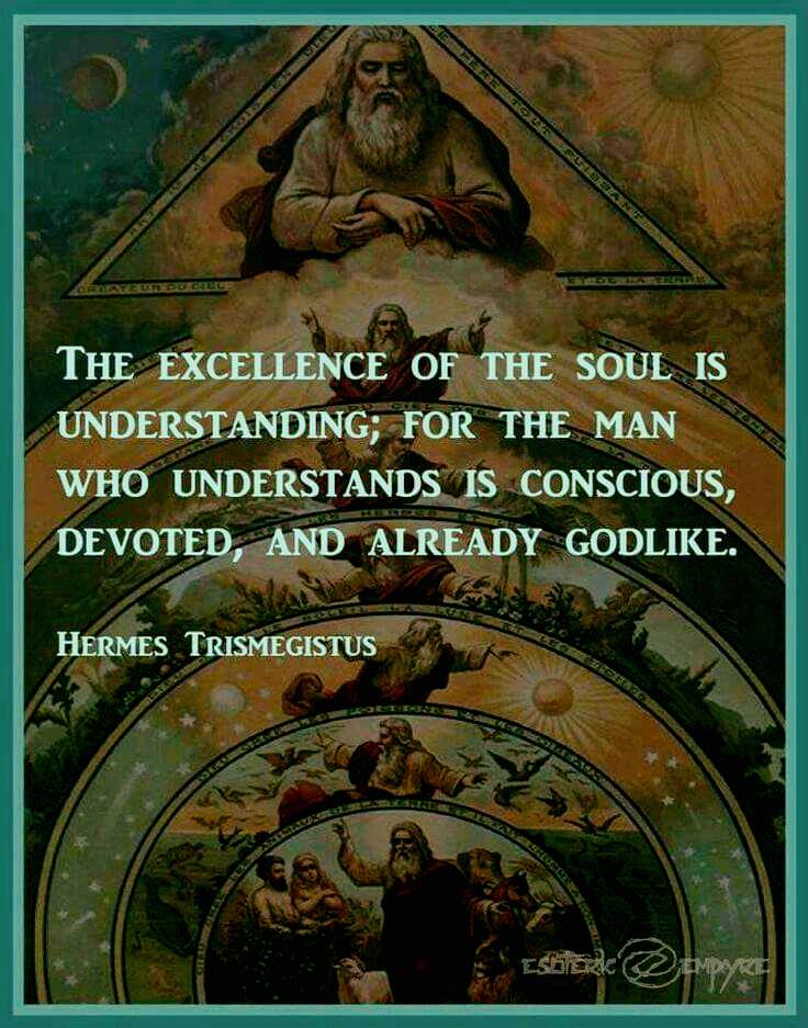 50018936_611617459271620_6741738644735787008_n