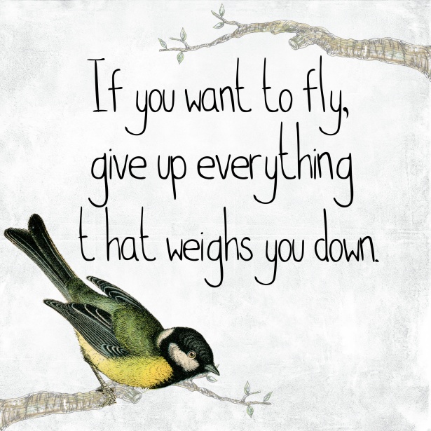 inspirational-bird-quote-freedom