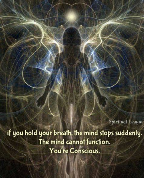 52580021_635451180221581_9013399598378516480_n