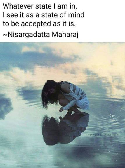 53117786_642319332868099_1950485150378754048_n