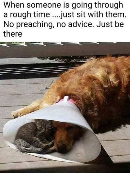 53303517_644326916000674_6871699089482842112_n