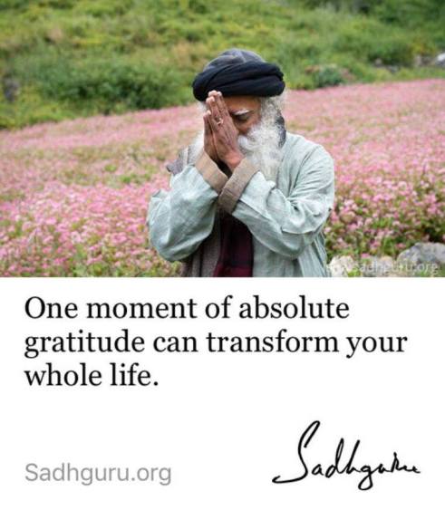 53820957_2301674783228308_973961032110178304_n