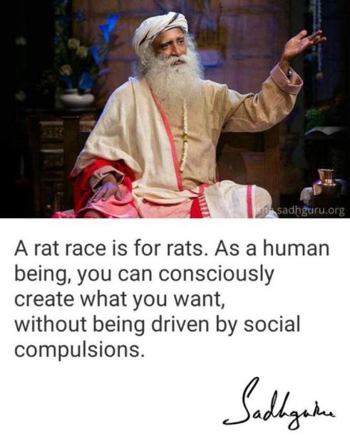 54353503_650378055395560_2339625211919335424_n