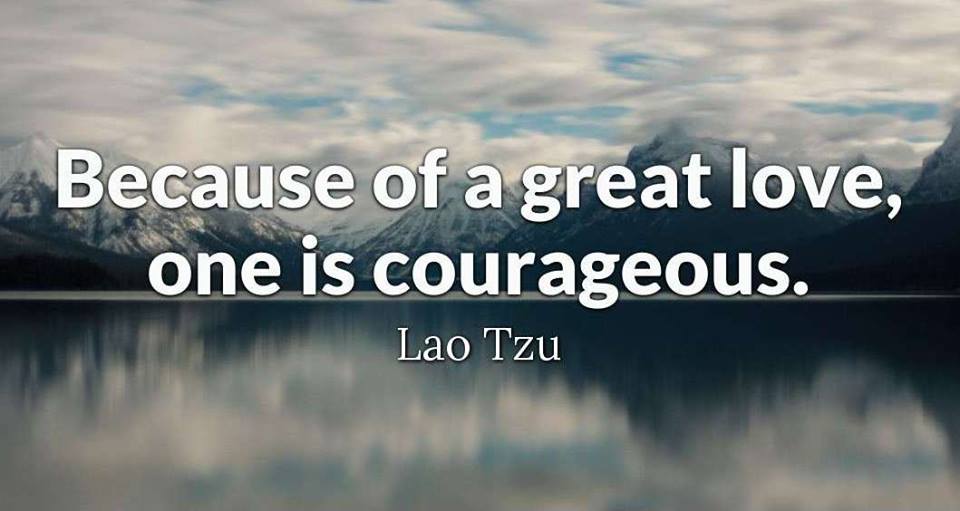 54358757_645936539173045_6586906108802105344_n