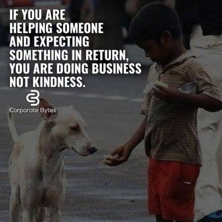 54515019_648860888880610_4438677189486968832_n