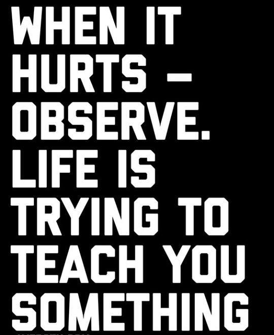 54522079_651562301943802_915967145274245120_n