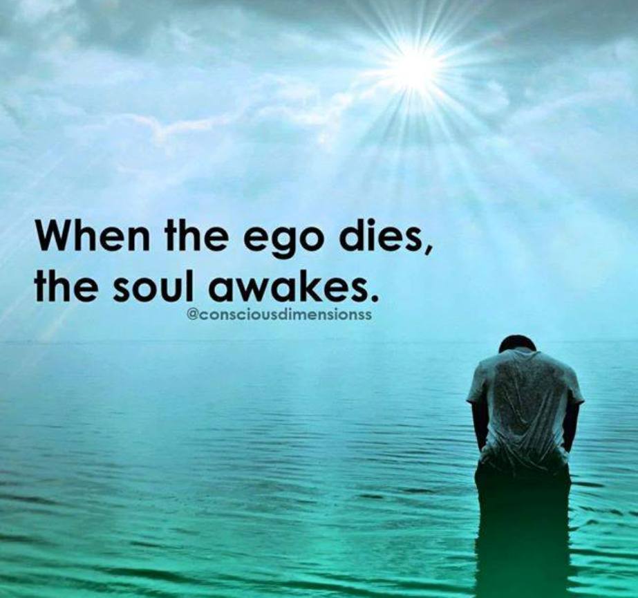 55483170_652258335207532_1212853791787843584_n