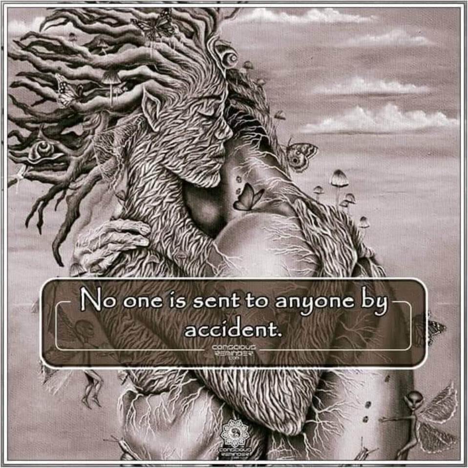 60235166_681437415622957_4656070923428823040_n