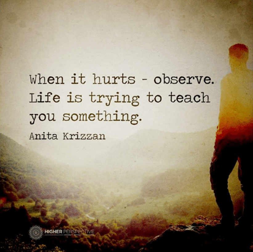when-it-hurts-observe-life-is-trying-to-teach-you-8932885