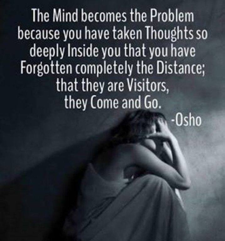 65056358_705143933252305_1154944459973066752_n