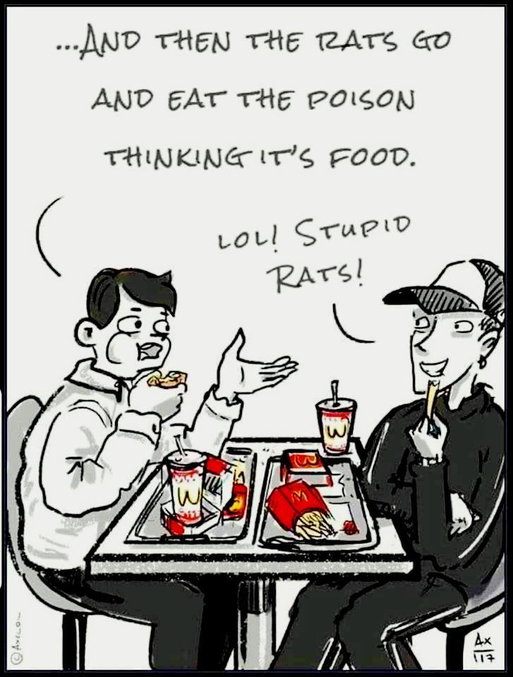 67386936_723937914706240_33170517758312448_n