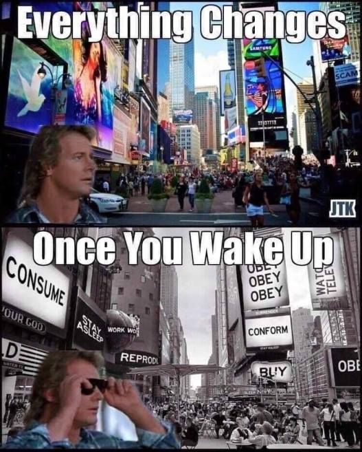 67261872_727842847649080_2969750820377067520_n