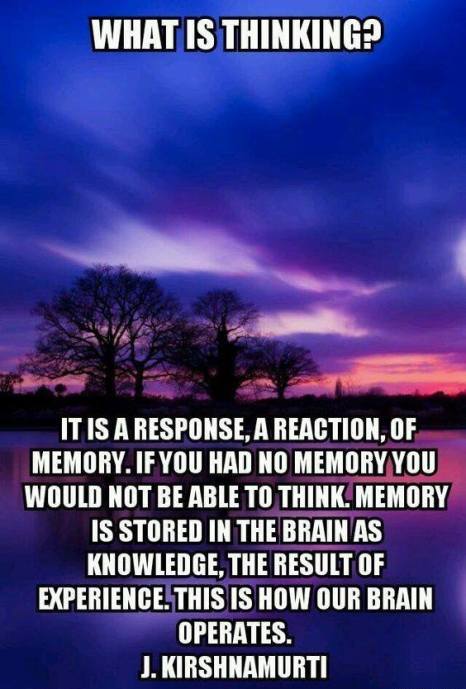 67871548_736391026794262_2174545974939090944_n