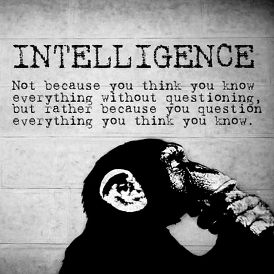 intelligence-not-because-you-think-you-know-everything-without-questioning-but-rather-because-you-question-everything-you-think-you-know-quote-1