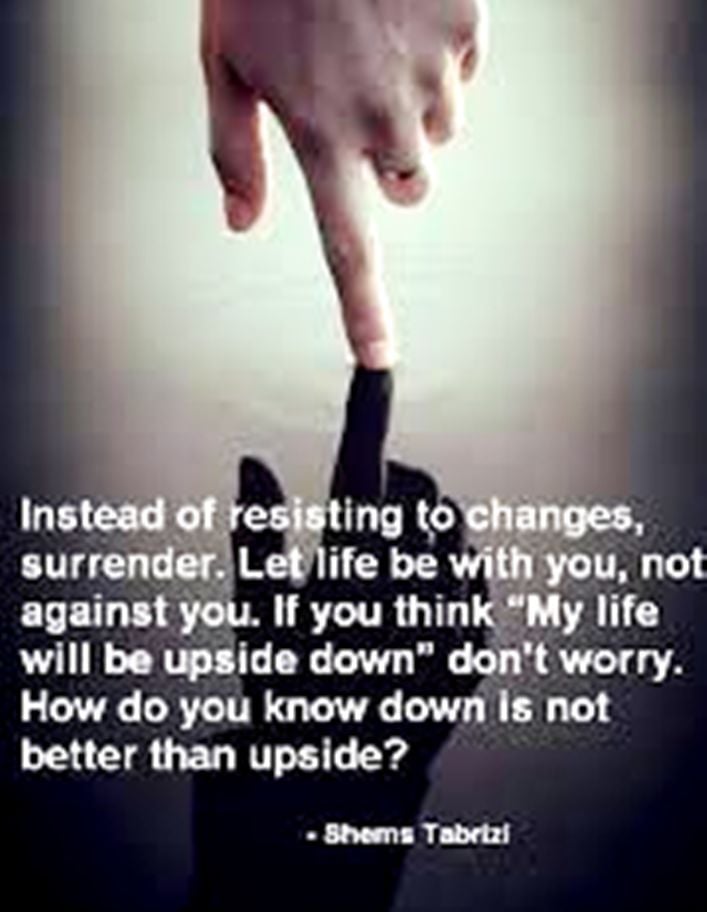 71337531_765533243880040_8528025881128468480_n