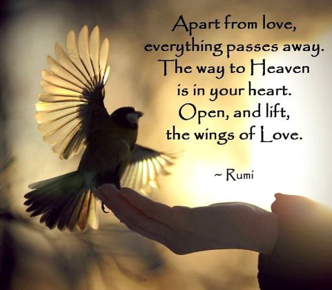 73333336_783156075451090_1656499917482360832_n