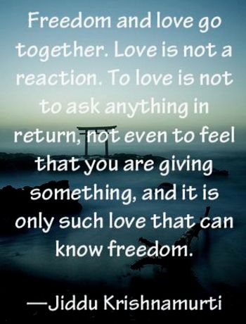 80de69dd14cdcd4a49bf60fd7fdb8df3