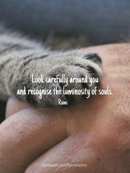 77374303_825530397880324_577049506420359168_n