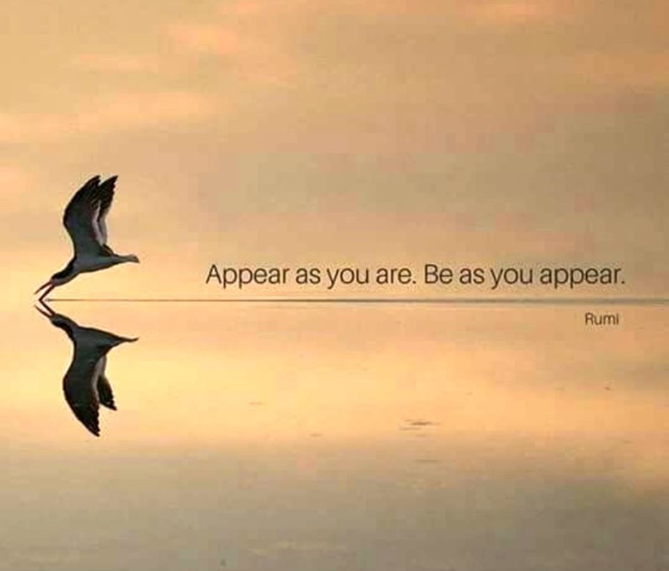 79833719_837647300001967_5927438645282734080_o