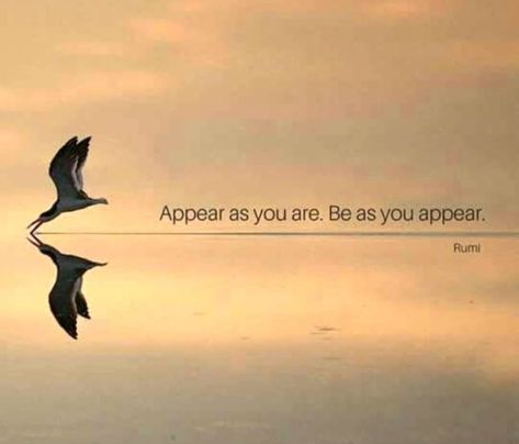 79833719_837647300001967_5927438645282734080_o