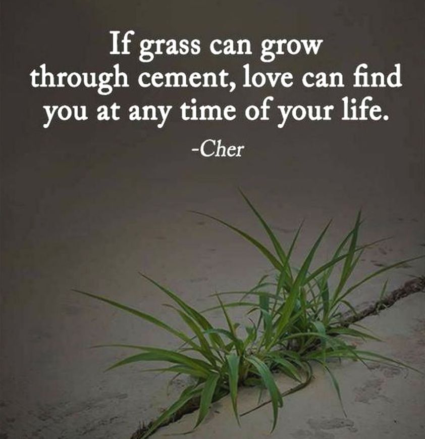 85042615_879104612522902_6661755603381125120_n