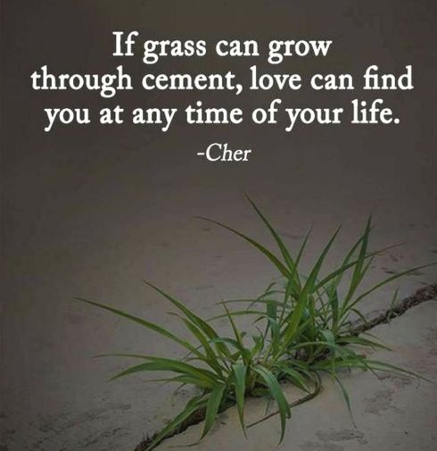 85042615_879104612522902_6661755603381125120_n