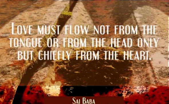 ffc6396d60064303c52c82381c68dc63_XL