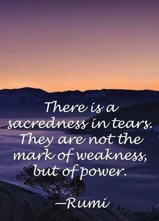 442cb1a44f2443ae32c6675715bfc3d7