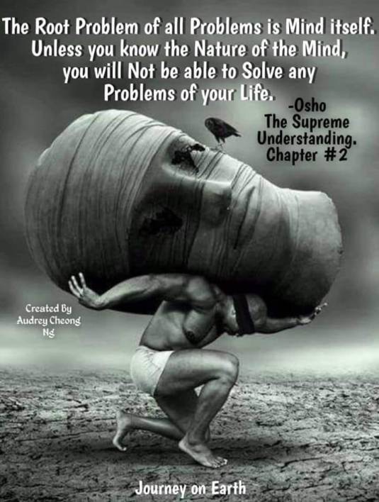 102732795_2601738636740572_3431692781345035883_n